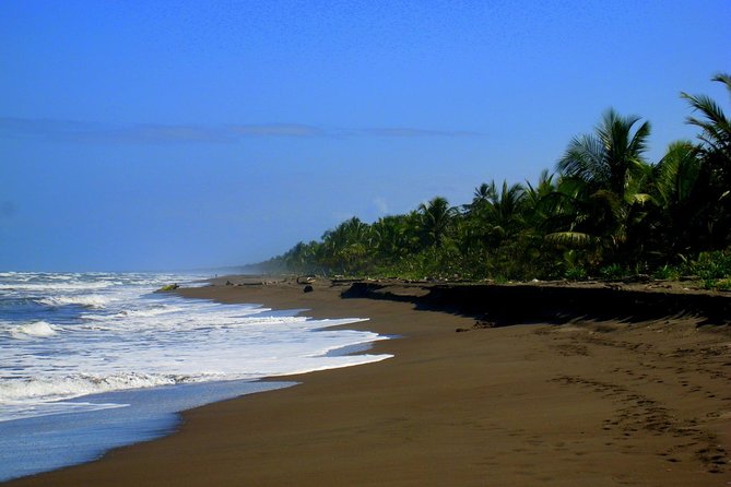 Tortuguero National Park and Canals Day Trip from San Jose - The early road journey through coffee country