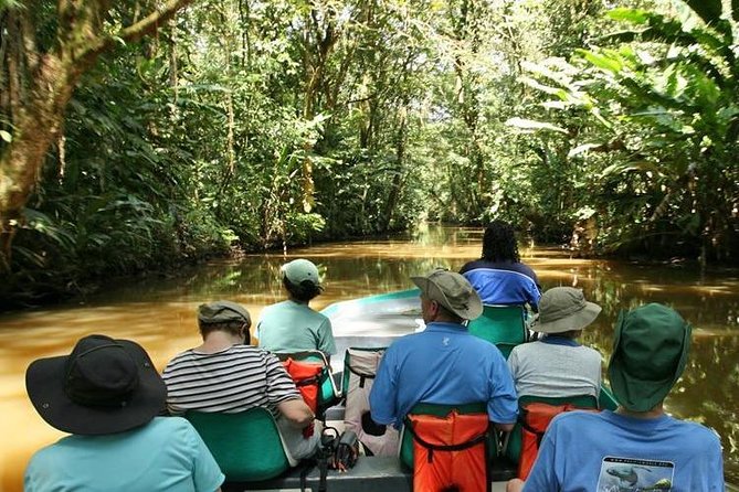 Tortuguero National Park and Canals Day Trip from San Jose - The canal boat ride through Tortuguero
