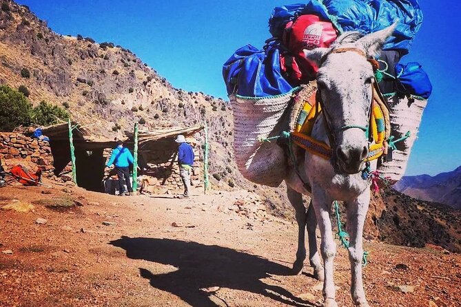 Toubkal Ascension 2 Days - Who should book this Toubkal trip?