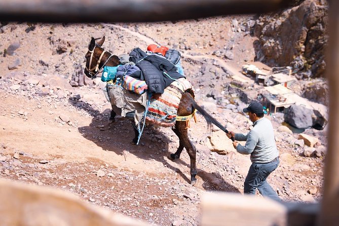 Toubkal Trekking 2 Days - Day two: A 4,167-meter summit attempt