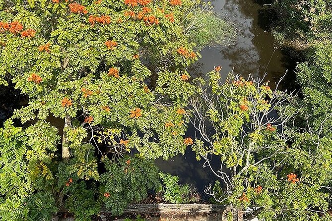 Tour for Nature lover- Lung Ngoc Hoang Nature Reserve in Can Tho - The 2 p.m. departure and ride into Hau Giang