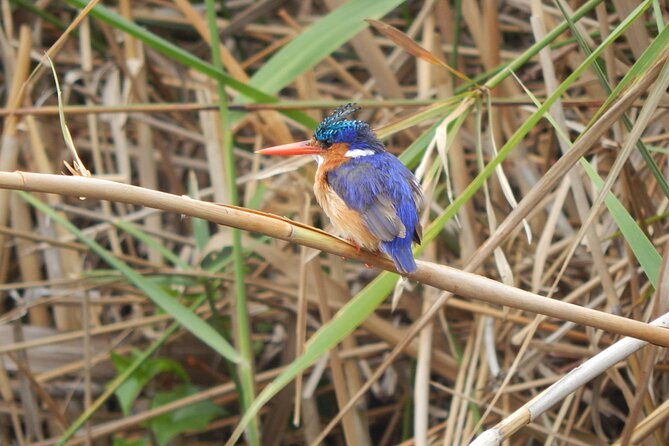 Touw River Boat Cruise - Wilderness National Park - Why the Touw River is worth seeing by boat
