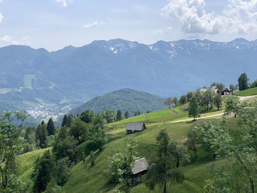 Triglav National Park Tour from Bled - Zelenci Nature Reserve offers a quieter pause