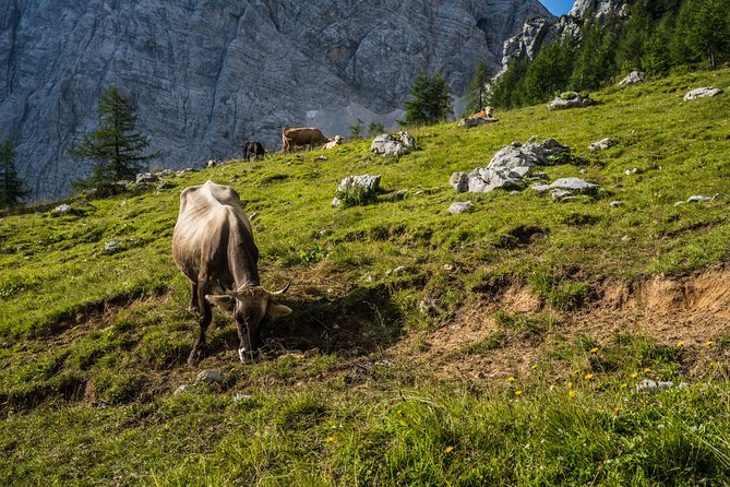 Triglav tour in 2 days Slovenia - Morning on Mt. Triglav