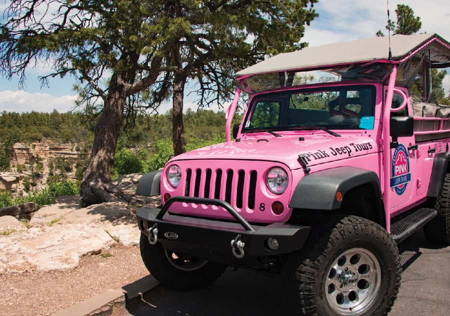 Tusayan: Grand Canyon Desert View & South Rim Pink Jeep Tour - Key points at a glance