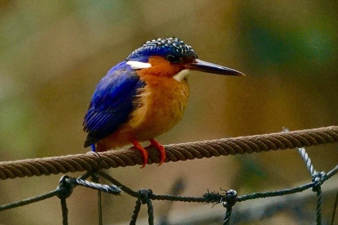 Two days tour to Andasibe NP - Day one: the slow road east from Antananarivo