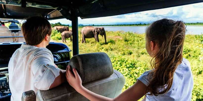 Udawalawe: National Park Safari & Elephant Transit Home Tour - The 4x4 jeep ride and choosing a good guide