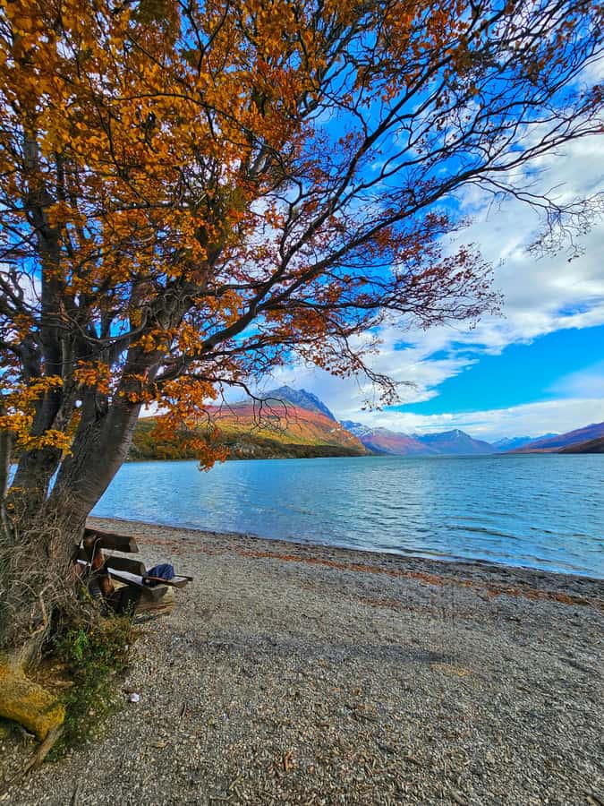 Ushuaia: Tierra del Fuego National Park - Guide service and the shared vehicle