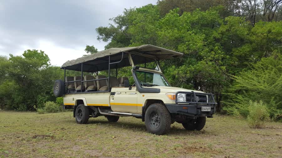 Victoria Falls: Chobe National Park Day Trip with Lunch - The 4x4 safari is where the surprises happen