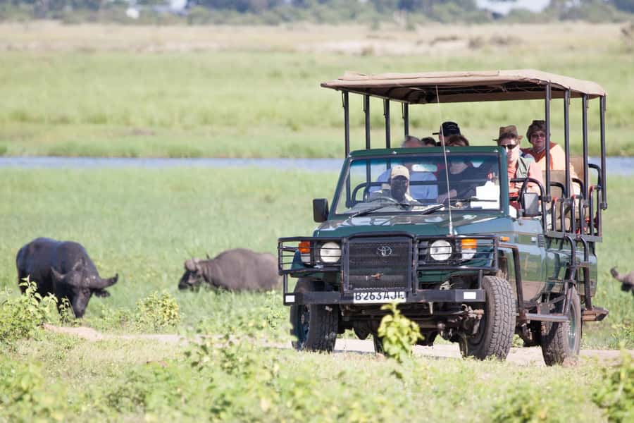 Victoria Falls: Chobe National Park Day Trip with Lunch - The early pickup and the Kazungula crossing