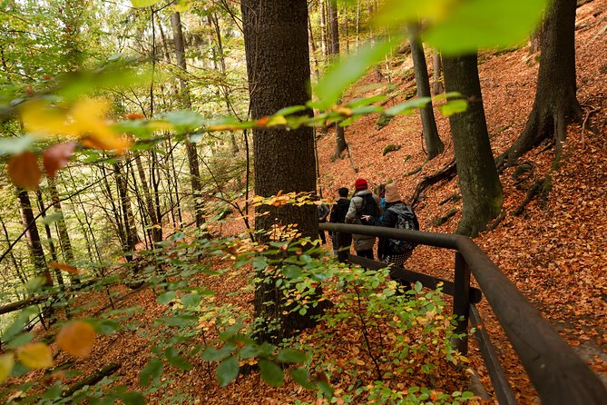 VIP Best Reviews: Bohemian & Saxon Switzerland from Prague - Pravčická Gate and the longer hiking option