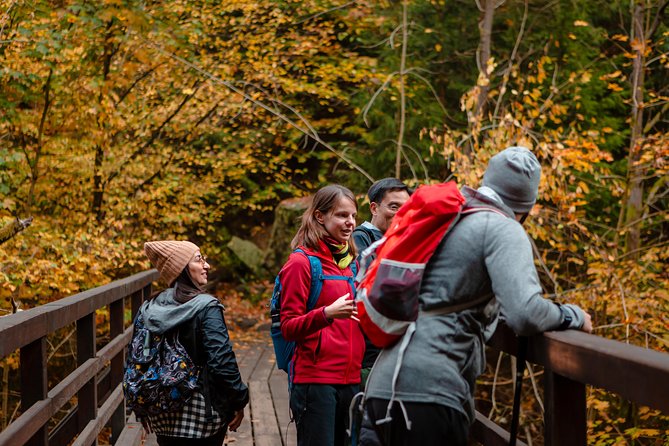 VIP Best Reviews: Bohemian & Saxon Switzerland from Prague - The Kamenice River Gorges
