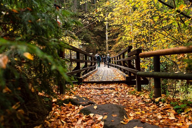 VIP Best Reviews: Bohemian & Saxon Switzerland from Prague - What the guide adds to the day