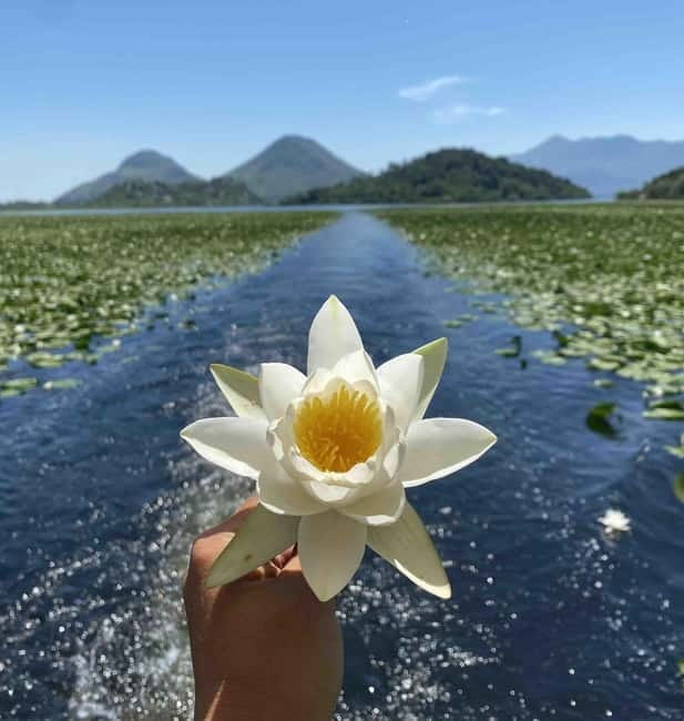 Virpazar: Skadar Lake National Park Guided Boat Tour - Why this two-hour cruise works so well