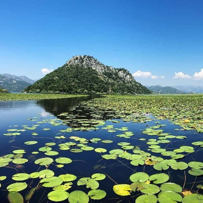 Virpazar: Skadar Lake National Park Guided Boat Tour - Moraca River, Vranjina, and the island views