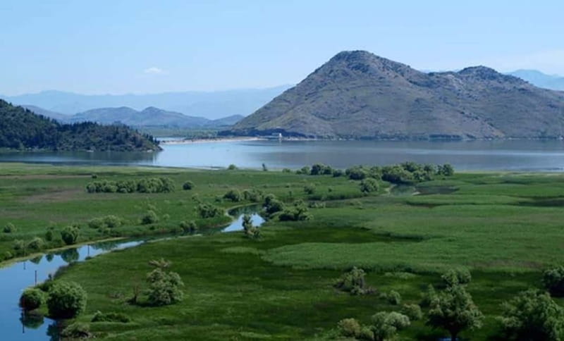 Virpazar: Skadar Lake National Park Guided Boat Tour - Birdwatching among the reeds