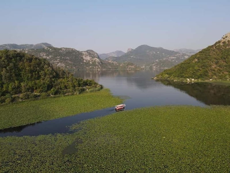 Virpazar Skadar Lake National Park Guided Boat Tour - Kamenik, reed canals, and a floating garden