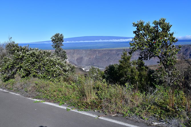 Volcano National Park Adventure From Kona - Punaluʻu and the black sand shore
