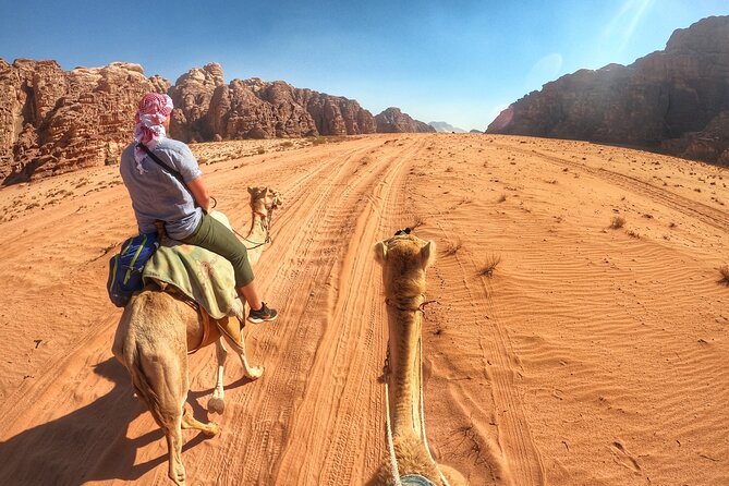 Wadi Rum: Camel Trek Adventure - A slow way to see Wadi Rum