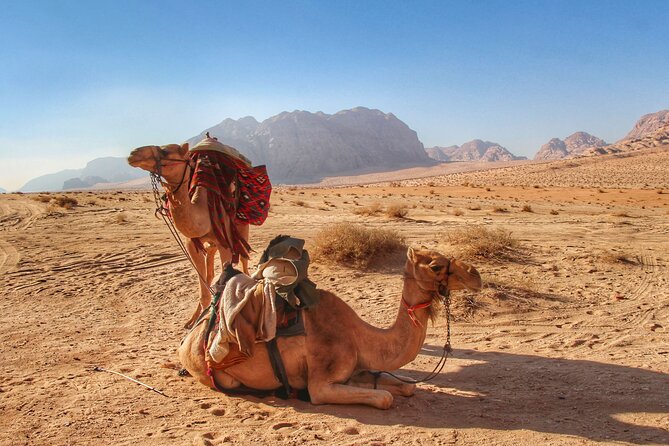 Wadi Rum: Camel Trek Adventure - Rock bridges, valleys, and photo time