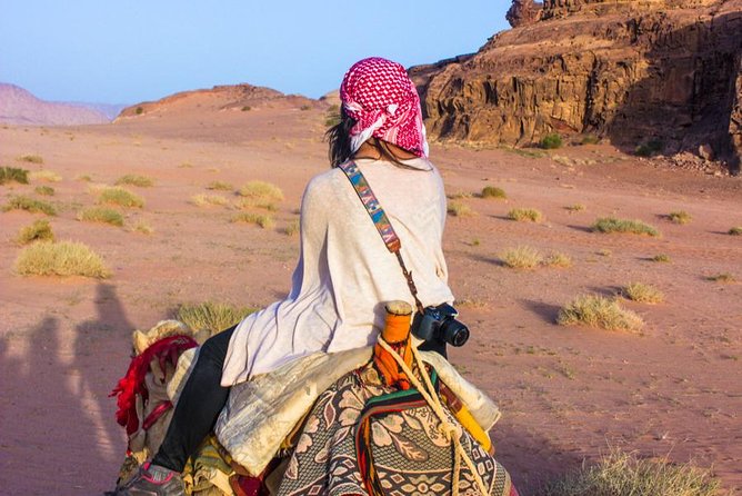 Wadi Rum: Camel Trek Adventure - Morning or afternoon: choosing the better departure