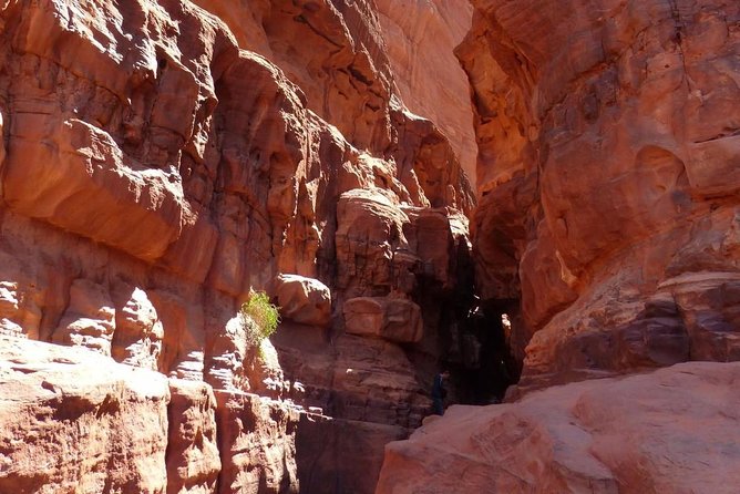 Wadi Rum: Camel Trek Adventure - What the $91 price means