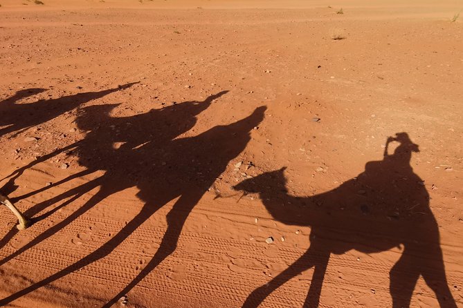 Wadi Rum: Camel Trek Adventure - Riding from Lawrence Spring toward the Red Sand Dune