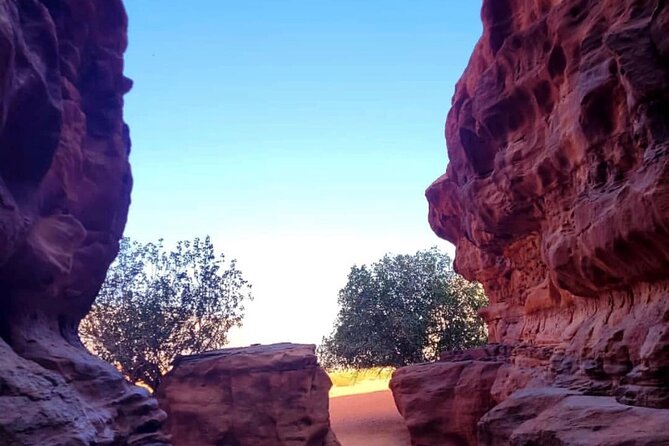 Wadi Rum Full Day Jeep Tour + Overnight & Dinner in Bedouin Camp - The White Desert, Mushroom Rock, and Burdah Bridge