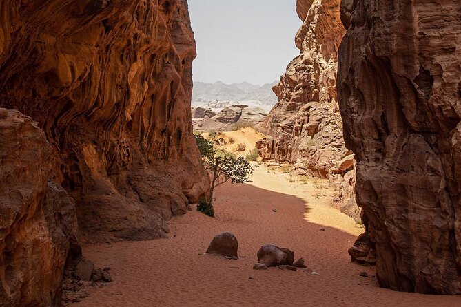 Wadi Rum Half-Day Desert Tour | Wadi Rum Desert - What the 4WD ride is really like