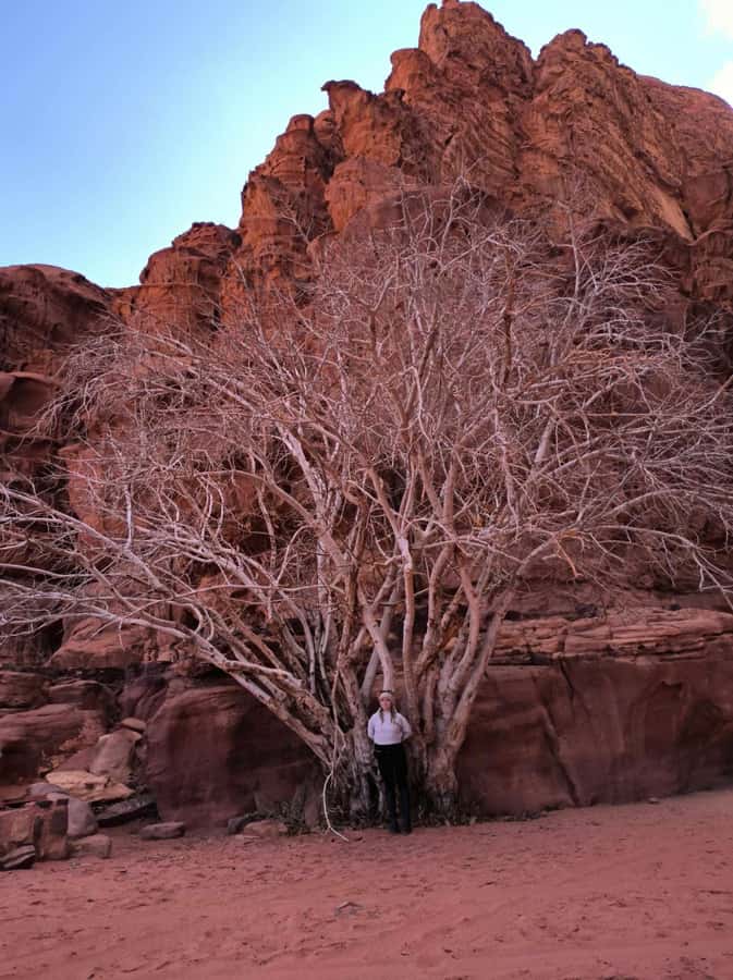 Wadi Rum: Morning or Sunset Jeep Tour - Um Frouth Rock Arch