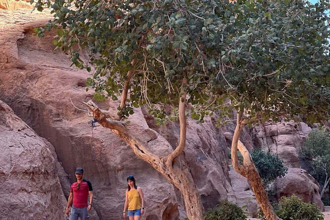 Wadi Rum Short Tours - Khazali Canyon and Nabatean inscriptions