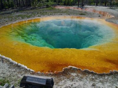 West Yellowstone: Yellowstone Day Tour Including Entry Fee
