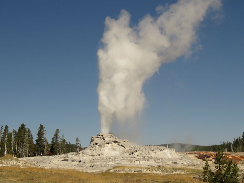 West Yellowstone: Yellowstone Day Tour Including Entry Fee - Thumb Geyser and Yellowstone Lake