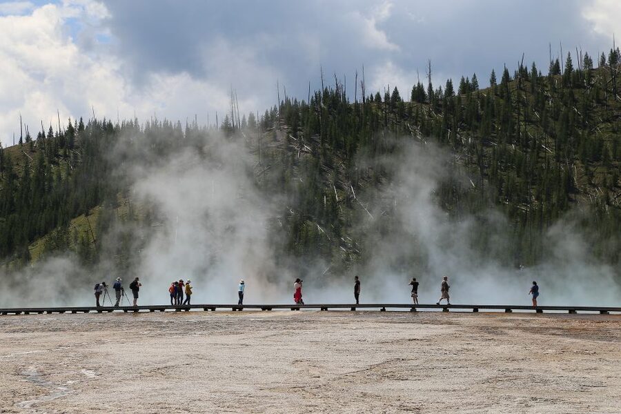West Yellowstone: Yellowstone Day Tour Including Entry Fee - The Grand Canyon and Artist Point