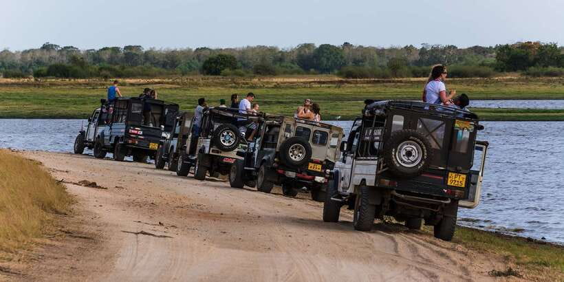 Wilpattu National Park Safari Tour from Colombo - Who will enjoy this long day most?