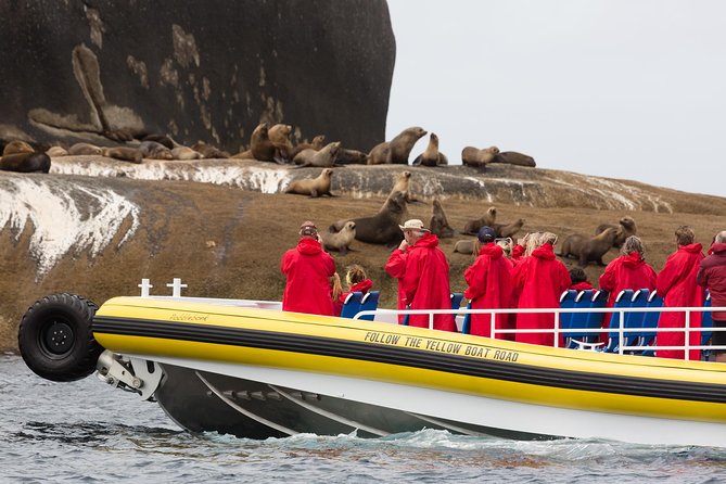 Wilsons Promontory Wilderness Cruise from Tidal River - Skull Rock and Wilsons Promontory’s granite coast