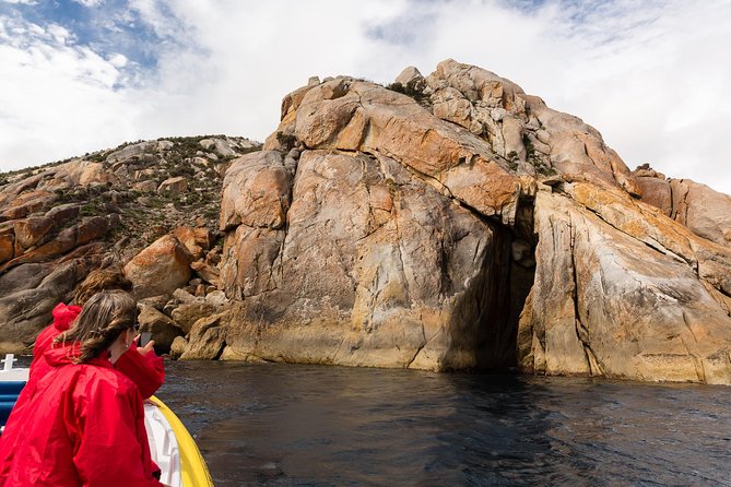 Wilsons Promontory Wilderness Cruise from Tidal River - Seals, dolphins, whales, and seabirds