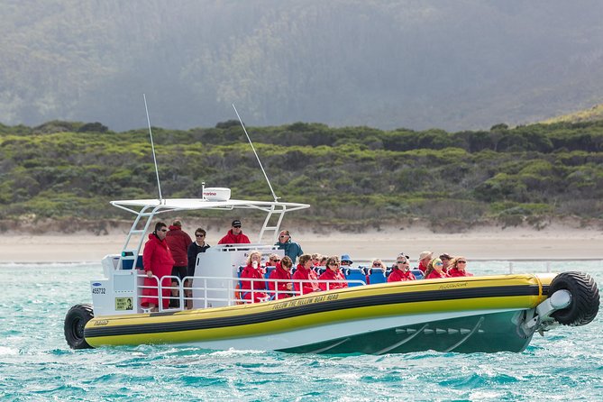 Wilsons Promontory Wilderness Cruise from Tidal River - Practical advice for a smoother departure