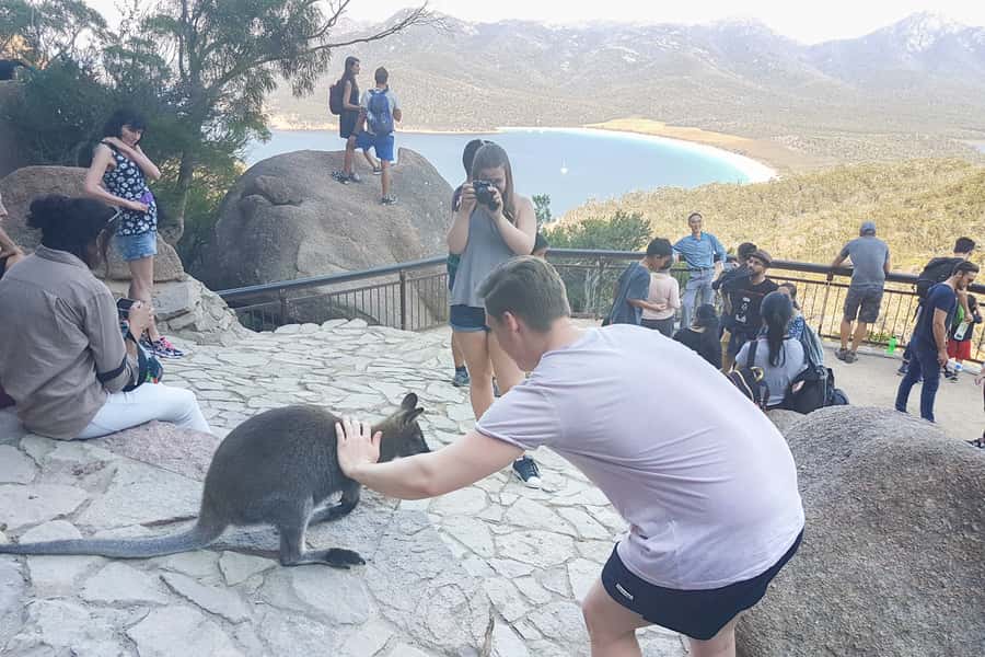 Wineglass Bay & Freycinet National Park Day Trip from Hobart - Key points at a glance