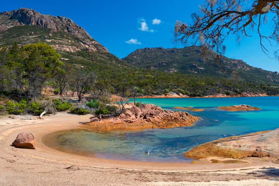 Wineglass Bay & Freycinet National Park Day Trip from Hobart - The guides make the long day easier