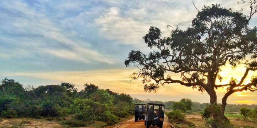 Yala National Park: Half, 7-Hour, or Full-Day Safari & Meals - Pickup from Tissamaharama and nearby areas
