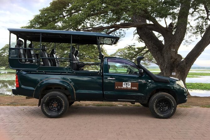 Yala National Park Wildlife Safari/ Game Drive - by Ajith Safari - Key points before you book