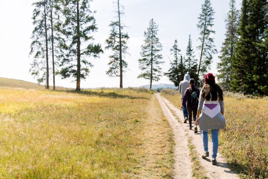 Yellowstone & Grand Tetons: 4-Day/3-Night Wildlife Adventure - Key points to know before booking