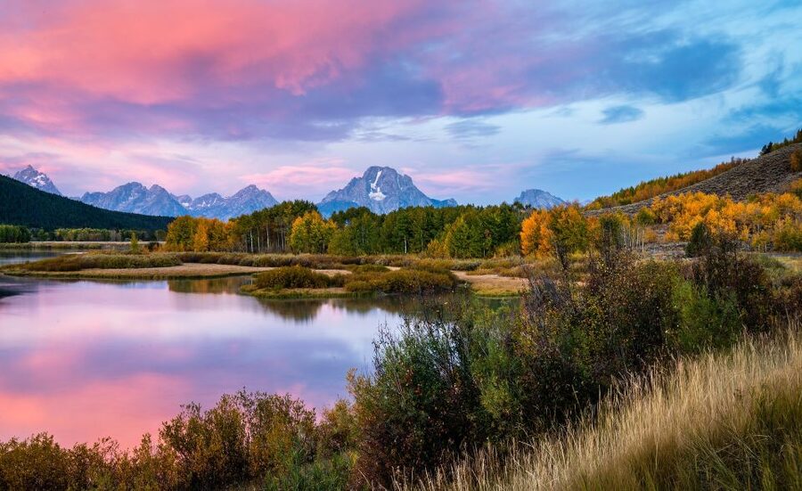 Yellowstone & Grand Tetons: 4-Day/3-Night Wildlife Adventure - Who should book this four-day trip?
