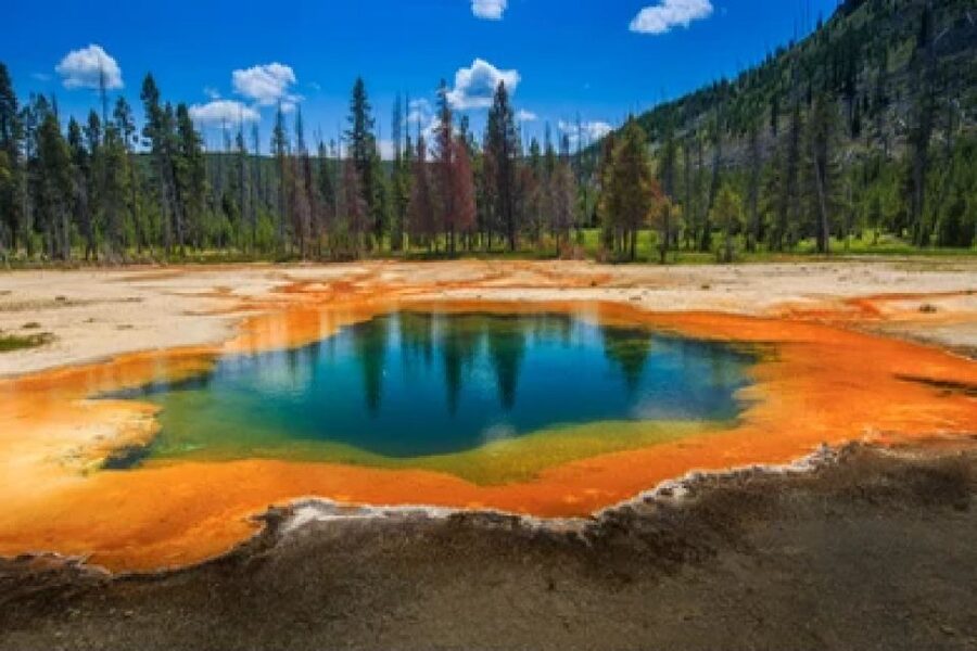 Yellowstone & Grand Tetons: 4-Day/3-Night Wildlife Adventure - Day 2: Oxbow Bend, Yellowstone Lake, and the canyon