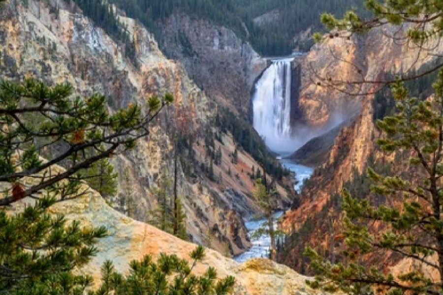 Yellowstone & Grand Tetons: 4-Day/3-Night Wildlife Adventure - Wildlife equipment and guide quality