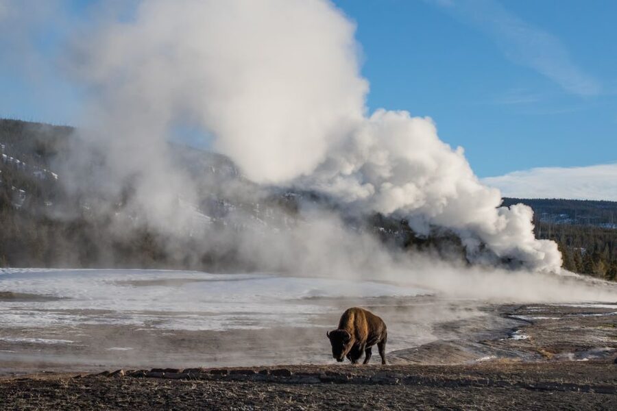 Yellowstone & Grand Tetons: 4-Day/3-Night Wildlife Adventure - Lodging, meals, and the $2,199 price