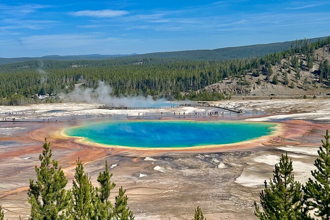 Yellowstone Lower Loop Full-Day Tour - Why this Yellowstone day works