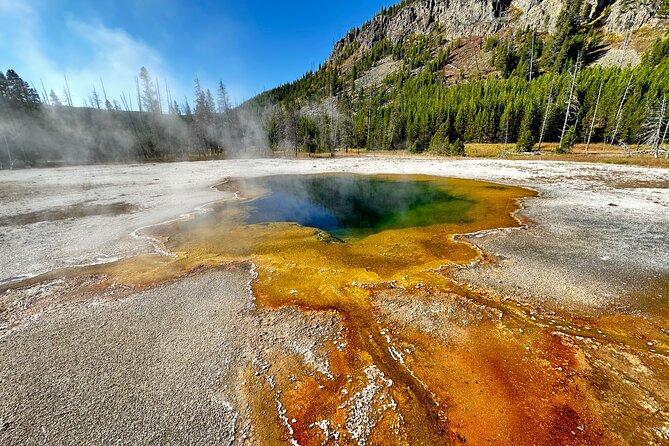 Yellowstone Lower Loop Full-Day Tour - A very long day with Yellowstone’s greatest hits