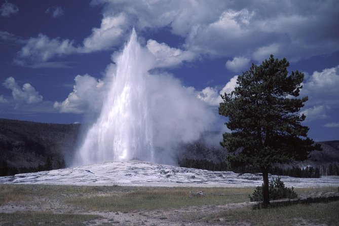 Yellowstone Lower Loop Full-Day Tour - Fountain Paint Pot and the thermal basins